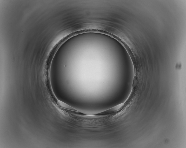 X0000097841119200803141202