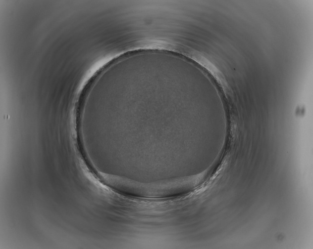 X0000097841120200803141202