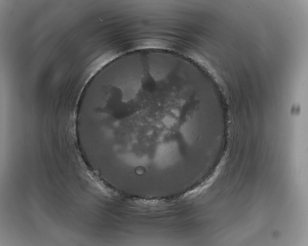 X0000097841121200803141202