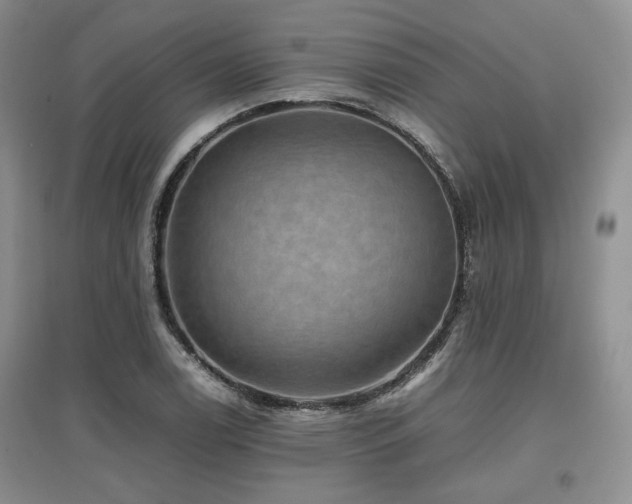 X0000097841122200803141202