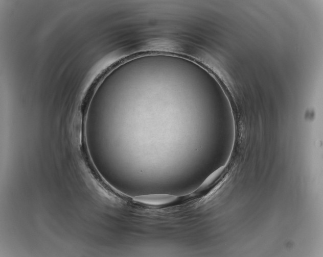 X0000097841123200803141202