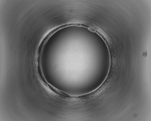 X0000097841124200803141202