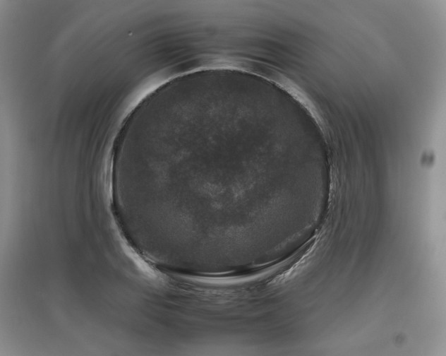 X0000097841127200803141202