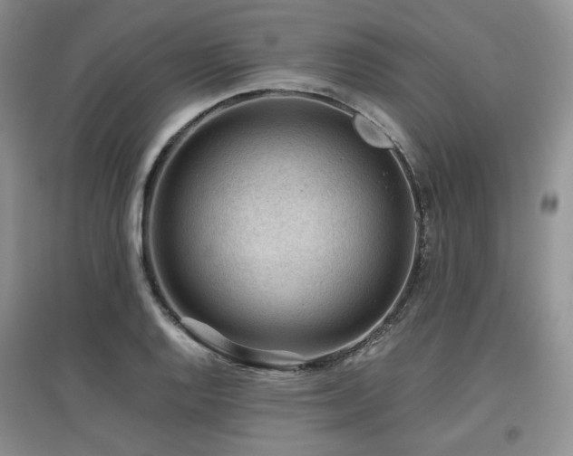 X0000097841128200803141202