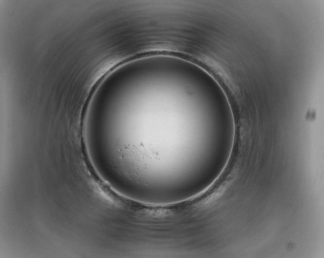 X0000097841129200803141202