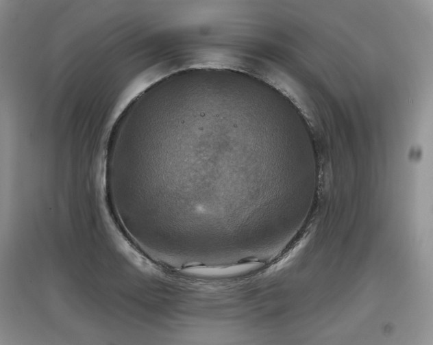 X0000097841130200803141202