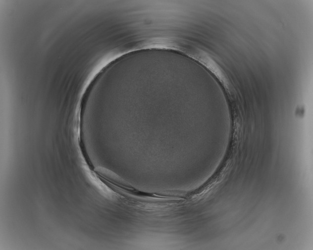 X0000097841132200803141202