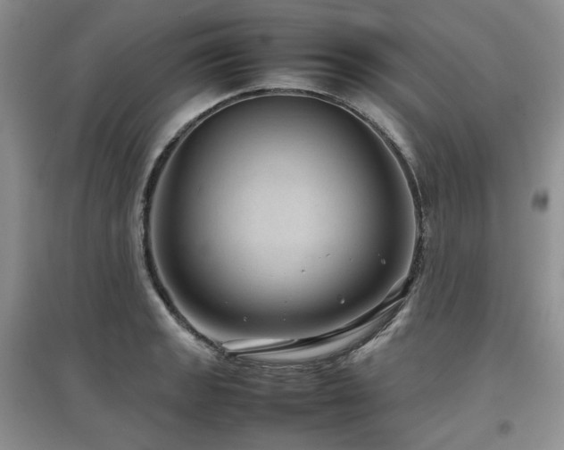 X0000097841133200803141202