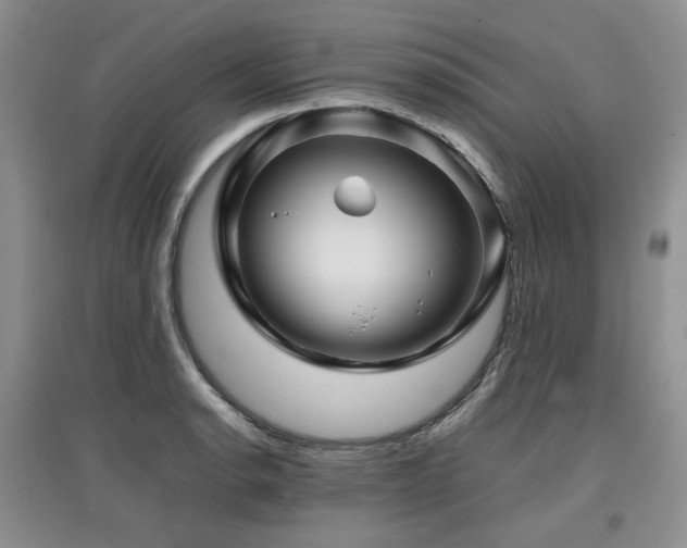 X0000097841134200803141202