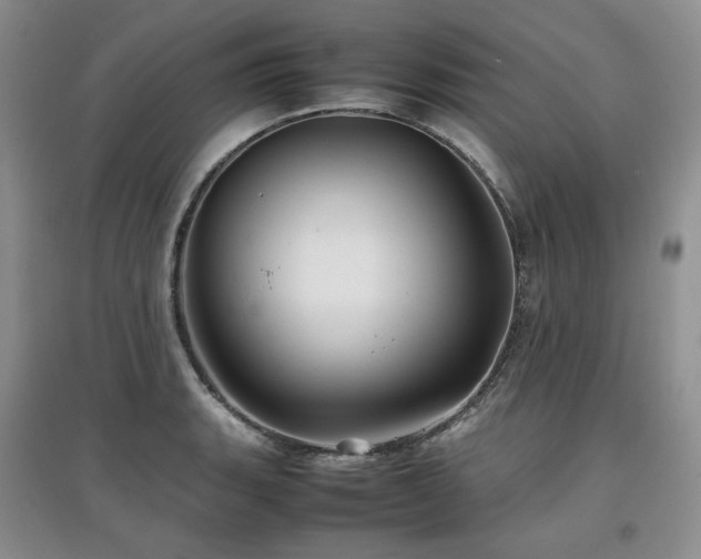 X0000097841135200803141202