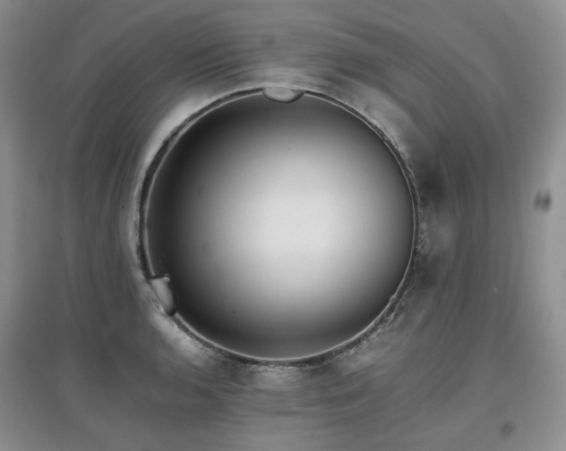 X0000097841136200803141202