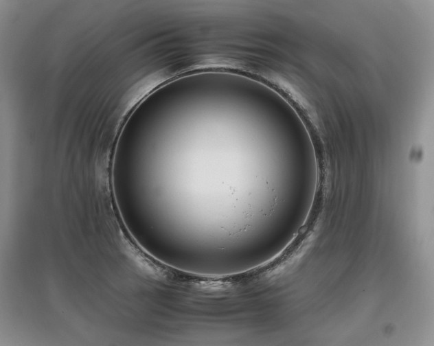 X0000097841137200803141202