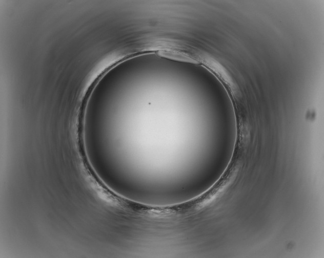 X0000097841138200803141202