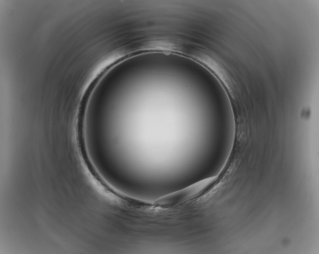 X0000097841139200803141202