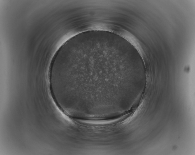 X0000097841141200803141202