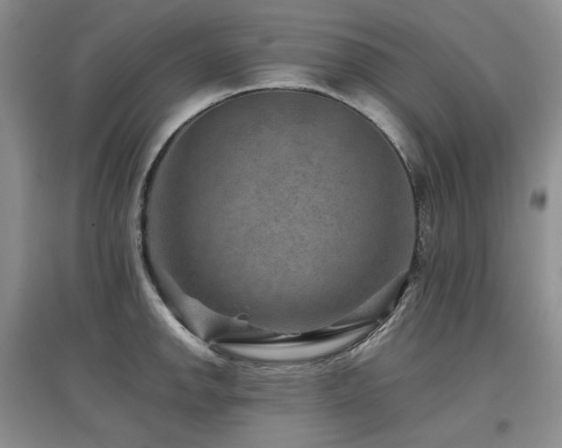 X0000097841142200803141202