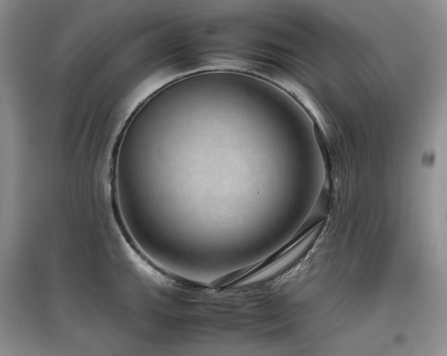 X0000097841143200803141202