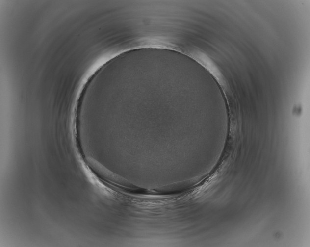 X0000097841144200803141202