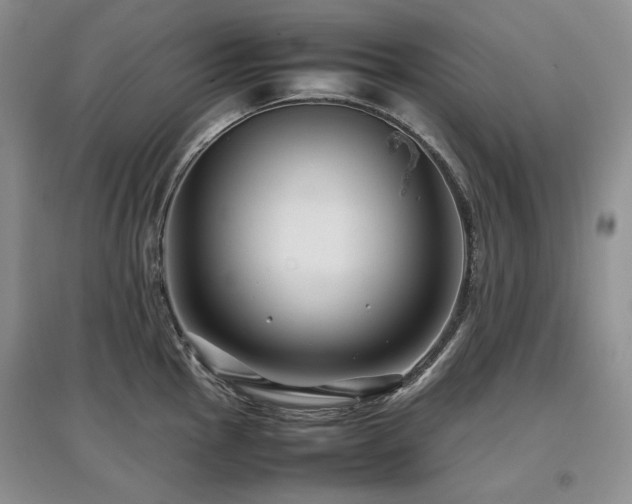 X0000097841145200803141202