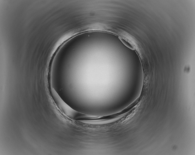 X0000097841146200803141202