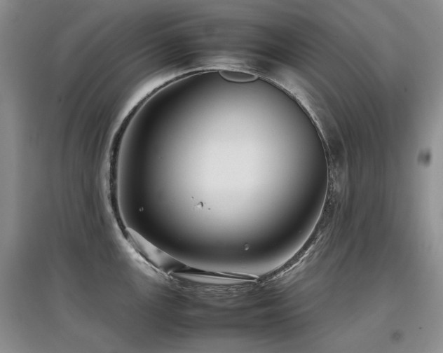 X0000097841147200803141202