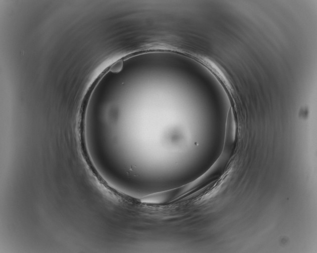 X0000097841149200803141202