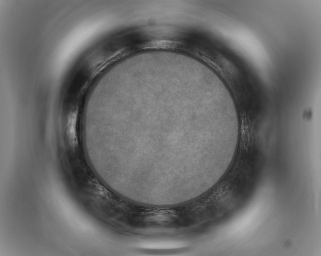 X0000097841150200803141202