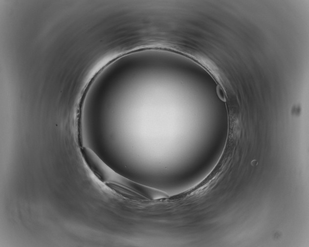 X0000097841151200803141202