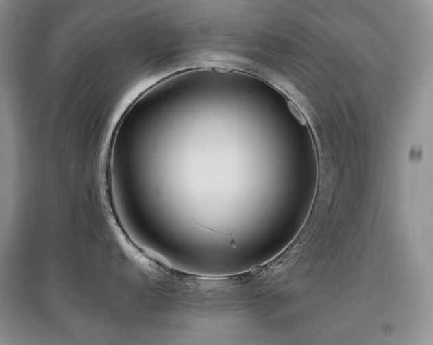 X0000097841152200803141202