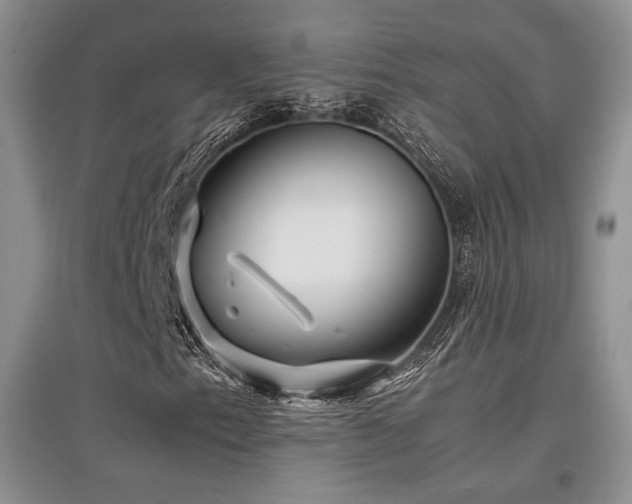 X0000097841153200803141201