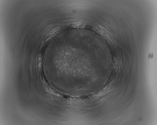 X0000097841154200803141201