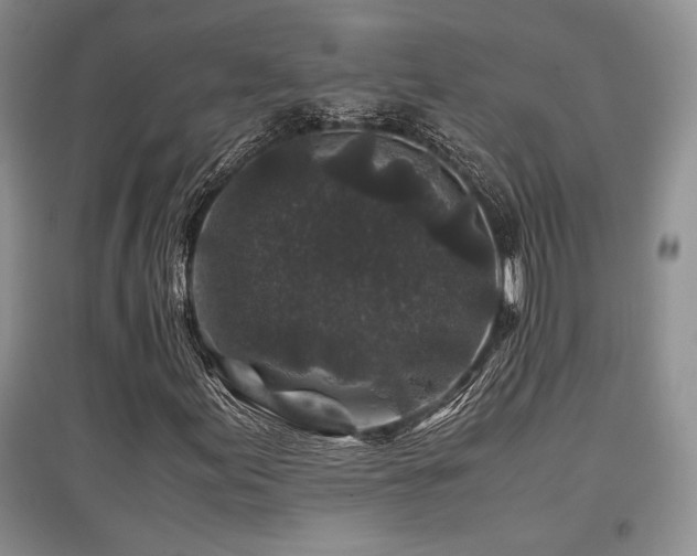 X0000097841155200803141201