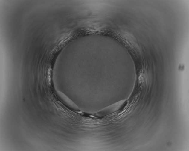 X0000097841156200803141201