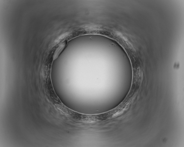 X0000097841157200803141201