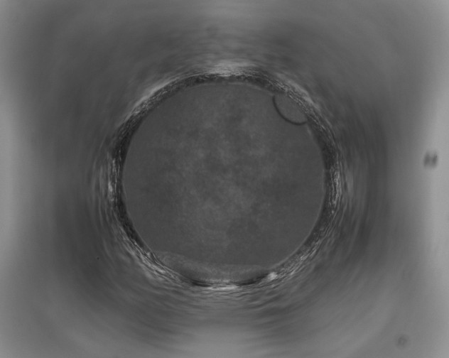 X0000097841158200803141201