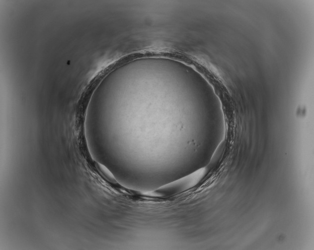 X0000097841160200803141201