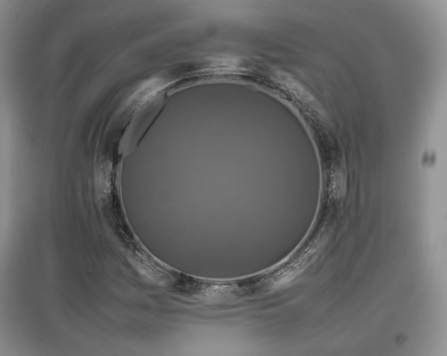 X0000097841161200803141201