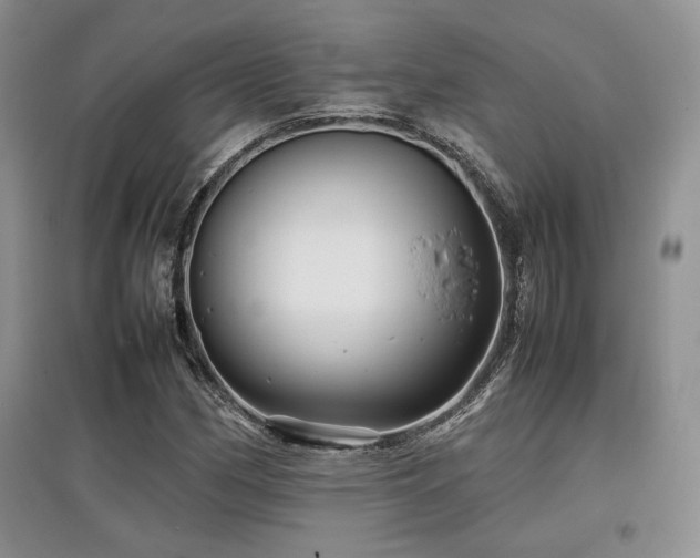 X0000097841162200803141201