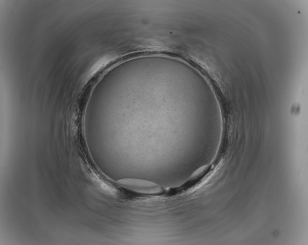 X0000097841163200803141201