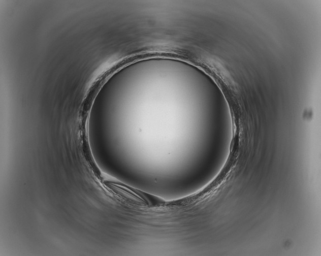 X0000097841164200803141201
