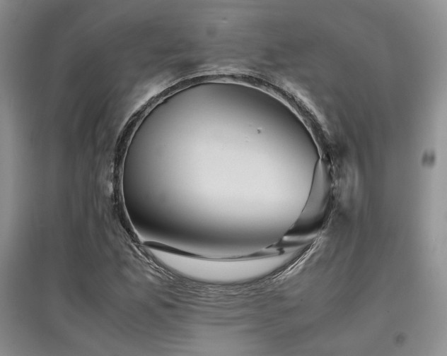 X0000097841165200803141201