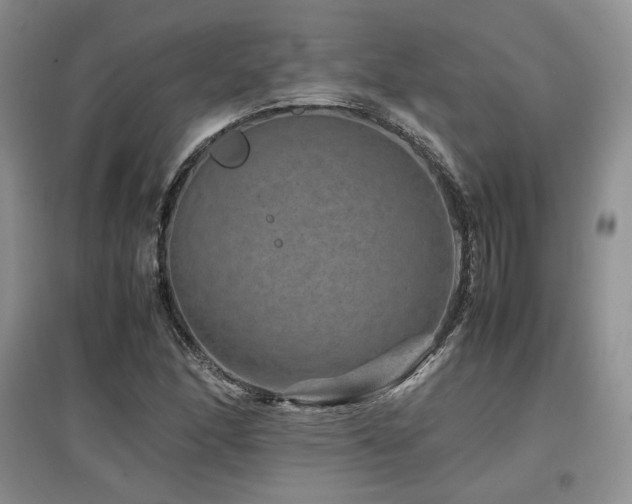 X0000097841166200803141201