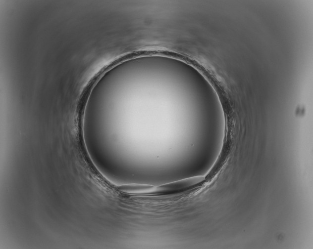 X0000097841167200803141201