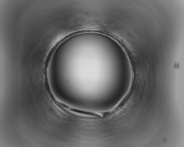 X0000097841168200803141201
