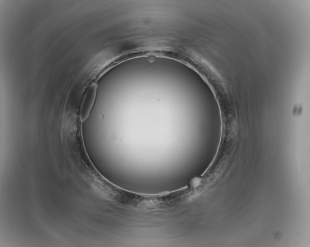 X0000097841169200803141201