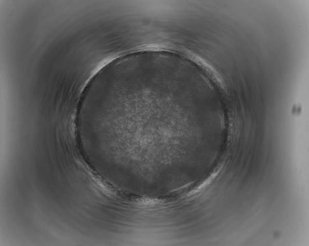 X0000097841170200803141201