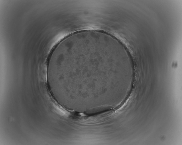 X0000097841171200803141201