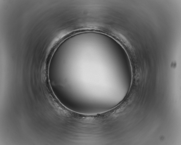 X0000097841172200803141201