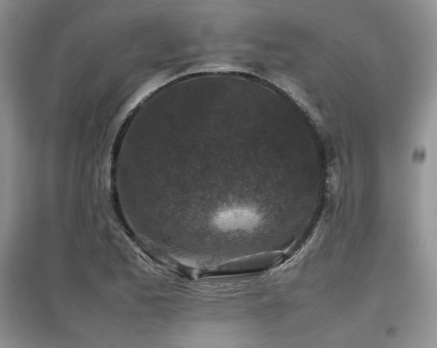 X0000097841173200803141201