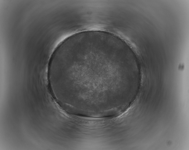 X0000097841174200803141201
